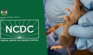 NCDC Confirms Lassa Fever Outbreak In Nigeria