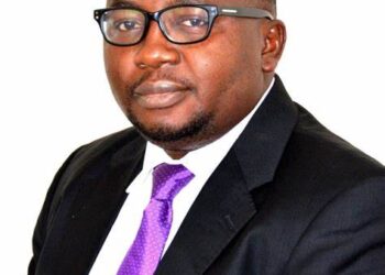 Minister Assures Improvement in Nigeria’s Electricity Supply Within Six Months