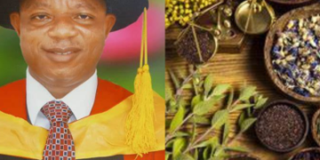 Herbal Pharmacy Should Run In Major Nigeria Hospitals – Aremu