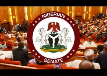 Delta State Attack: Senate Probes Killing Of Military  Personnel