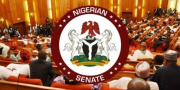 Delta State Attack: Senate Probes Killing Of Military  Personnel
