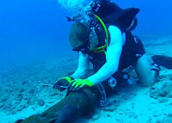 Repairs Of Faulty Submarine Cable Causing Internet Outage In Nigeria, Others, To Take Five Weeks  