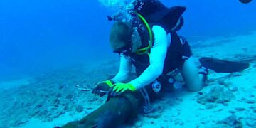 Repairs Of Faulty Submarine Cable Causing Internet Outage In Nigeria, Others, To Take Five Weeks  