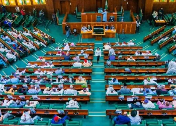 Reps Give Alake, Dangote, BUA 14-Day Ultimatum Over Cement Price Hike