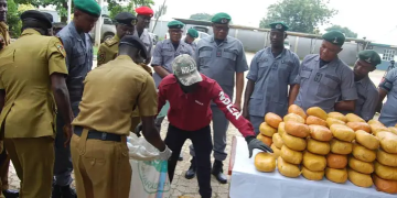 Customs Seize Cars, Cannabis Worth N175.6M In Niger, Kogi