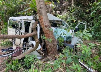 Four passengers die in Cross River auto crash