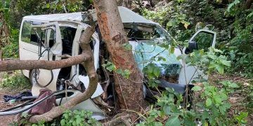 Four passengers die in Cross River auto crash