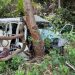 Four passengers die in Cross River auto crash